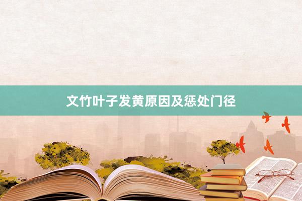 文竹叶子发黄原因及惩处门径