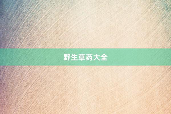 野生草药大全